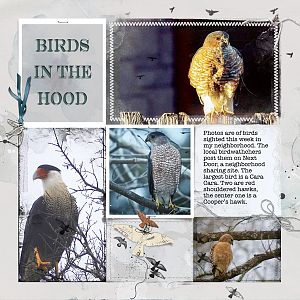Birds in the Hood