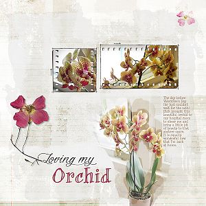 Loving My Orchid