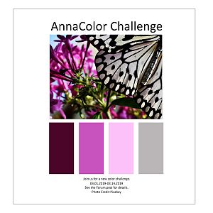 AnnaColor Challenge 03.01.2019 - 03.14.2019
