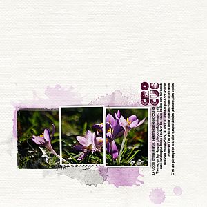 (AnnaColor Challenge 03.01.2019 - 03.14.2019) Crocus at the Garden of the T