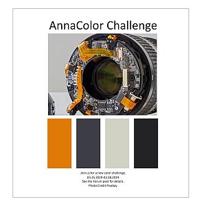 AnnaColor Challenge 03.15.2019 - 03.28.2019