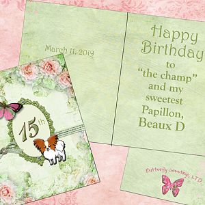 Happy Birthday Beaux D - 15