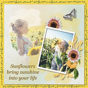 Sunflowers - Sunshine