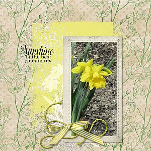 Sunshine and Daffodils