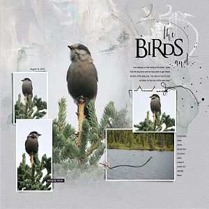 2018Aug16 the birds