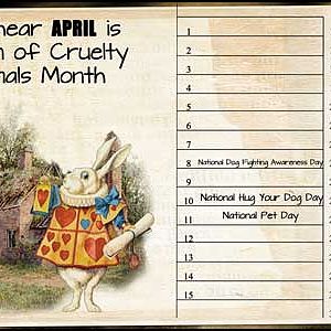 april calendar challenge