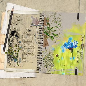 Botanical journal