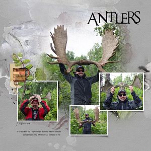 2018Aug17 antlers