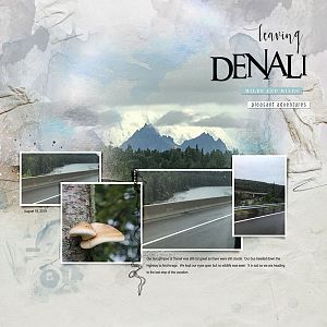2018Aug19 leaving Denali