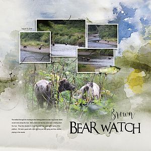2018Aug10 br bear watch