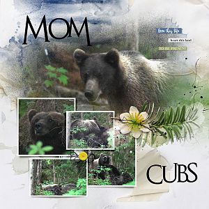 2018Aug10 mom cubs