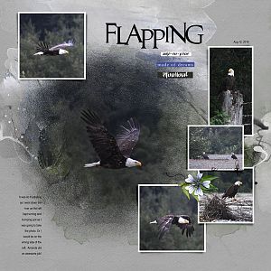 2018Aug12 flapping