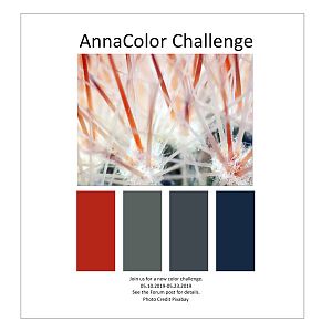 AnnaColor Challenge 05.10.2019 -05.23.2019