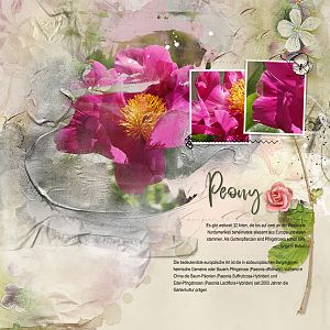 Peony