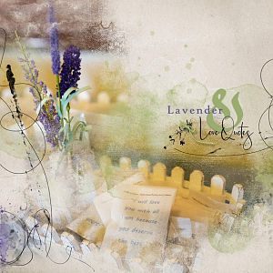 Lavender & Love Quotes