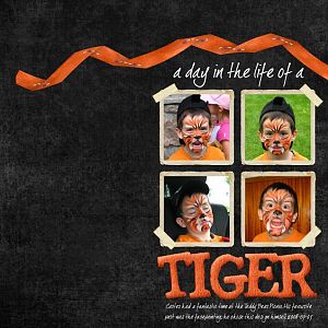 A Day in the Life of a Tiger