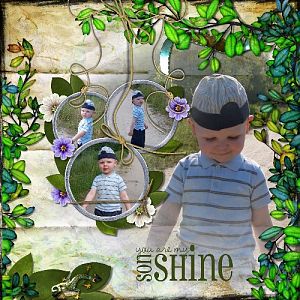 Sonshine