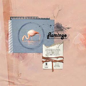 Flamingo    (Anna color challenge 6-21--7-4)