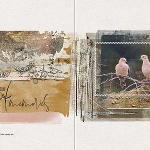 AnnaColor Challenge 07.19.2019 - Collection of Memories (Doves)