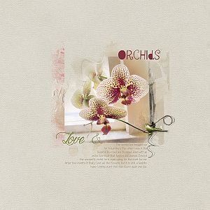 AnnaLift 07/20/19 - Love & Orchids