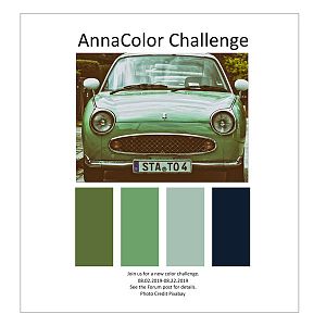 AnnaColor Challenge 08.02.2019 - 08.22.2019