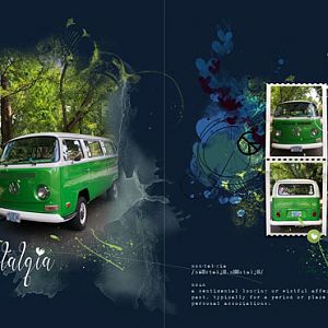 AnnaColor 8-2 Green Van