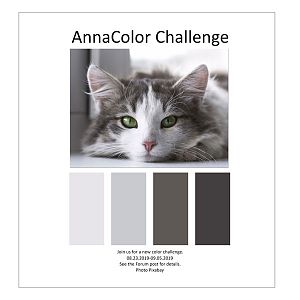 AnnaColor Challenge 08.23.2019- 09.05.2019