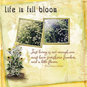 Life In Full Bloom