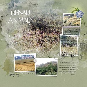 1977Aug9-13 Denali animals