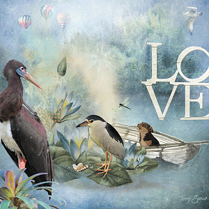 Love--Birds on a Lake