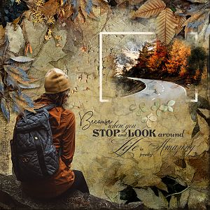 Stop and Look