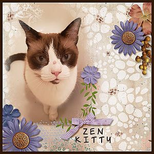 zen kitty