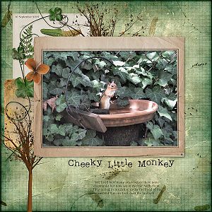 Cheeky Little Monkey