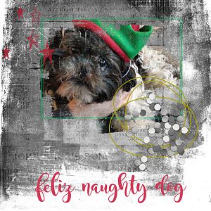 Feliz Naughty Dog