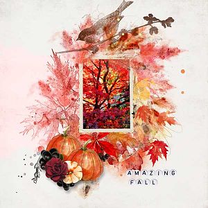 Amazing Fall