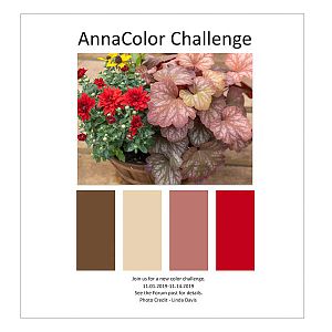 AnnaColor Challenge 11.01.2019 -11.14.2019
