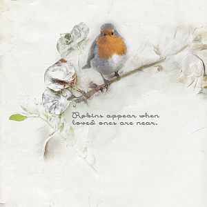 Robins Mean Remembrance