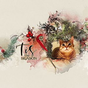 AnnaLift: Merry Kittymas