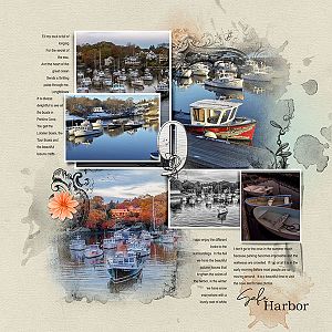 Pg 9 - aA Project 2019 - Safe Harbor