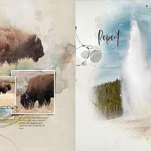 aA Project 2019 Yellowstone