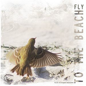 Fly to the beach