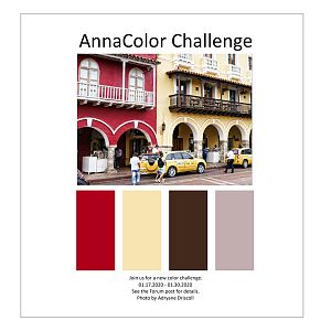 AnnaColor Challenge 01.17.2020 - 01.30.2020