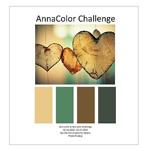 AnnaColor Challenge 02.14.2020 - 02.27.2020