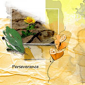 Perseverance