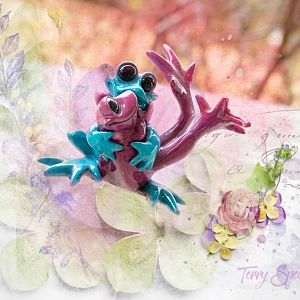 Frogs in Love