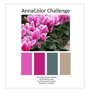 AnnaColor Challenge 02.28.2020-03.12.2020