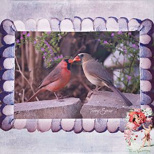 Cardinals in Love