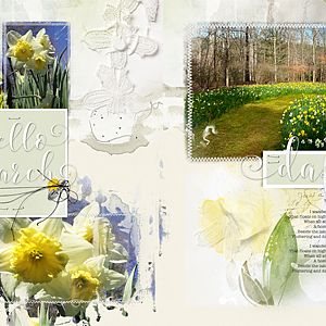 Hello March Daffodils