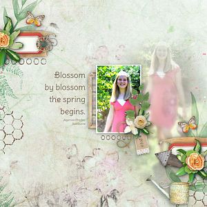 Blossom by Blossom