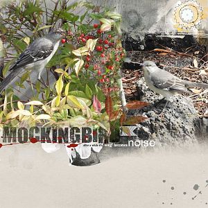 Mockingbird  (Anna lift 3.20-4.06)